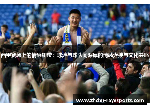西甲赛场上的情感纽带：球迷与球队间深厚的情感连接与文化共鸣
