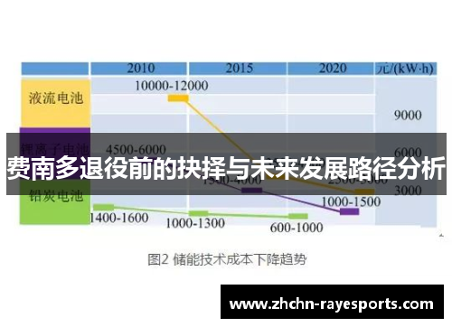 费南多退役前的抉择与未来发展路径分析 费南多退役前的抉择与未来发展路径分析