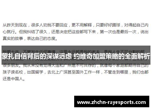 蒙扎自信背后的深谋远虑 约维奇加盟策略的全面解析