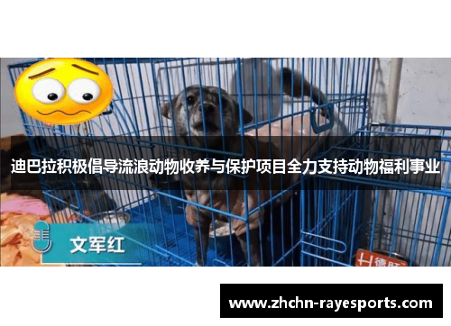 迪巴拉积极倡导流浪动物收养与保护项目全力支持动物福利事业 迪巴拉积极倡导流浪动物收养与保护项目全力支持动物福利事业